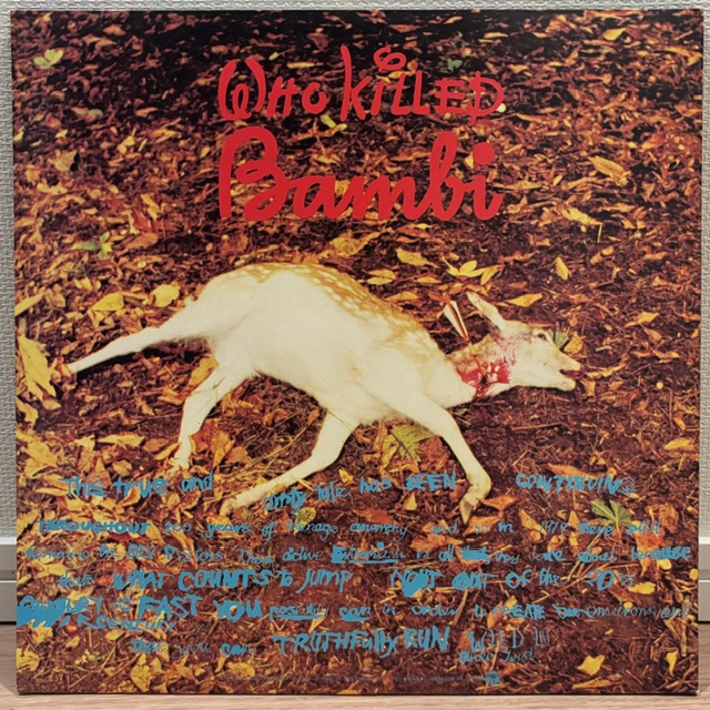 The Great Rock'n'Roll Swindleのジャケット(裏)の写真