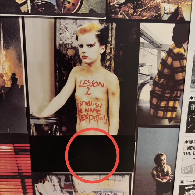 スー・キャットウーマンの写真